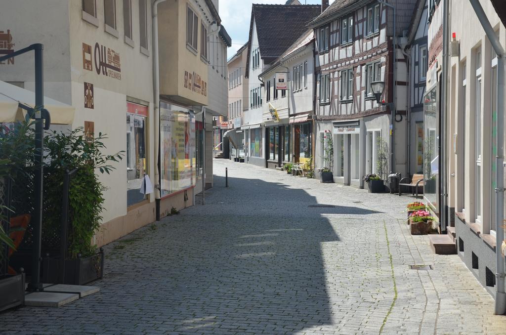 Hotel Schwartzer Loewe Babenhausen  Dış mekan fotoğraf