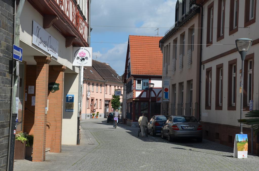 Hotel Schwartzer Loewe Babenhausen  Dış mekan fotoğraf